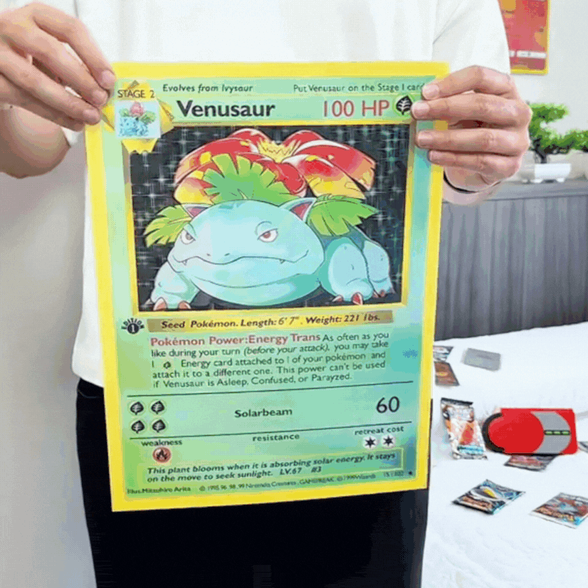 Póster 3D Pokémon - Charizard, Blastoise y Venusaur