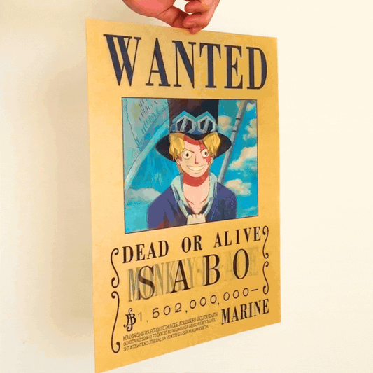 Póster Lenticular 3D - One Piece (3 modelos)